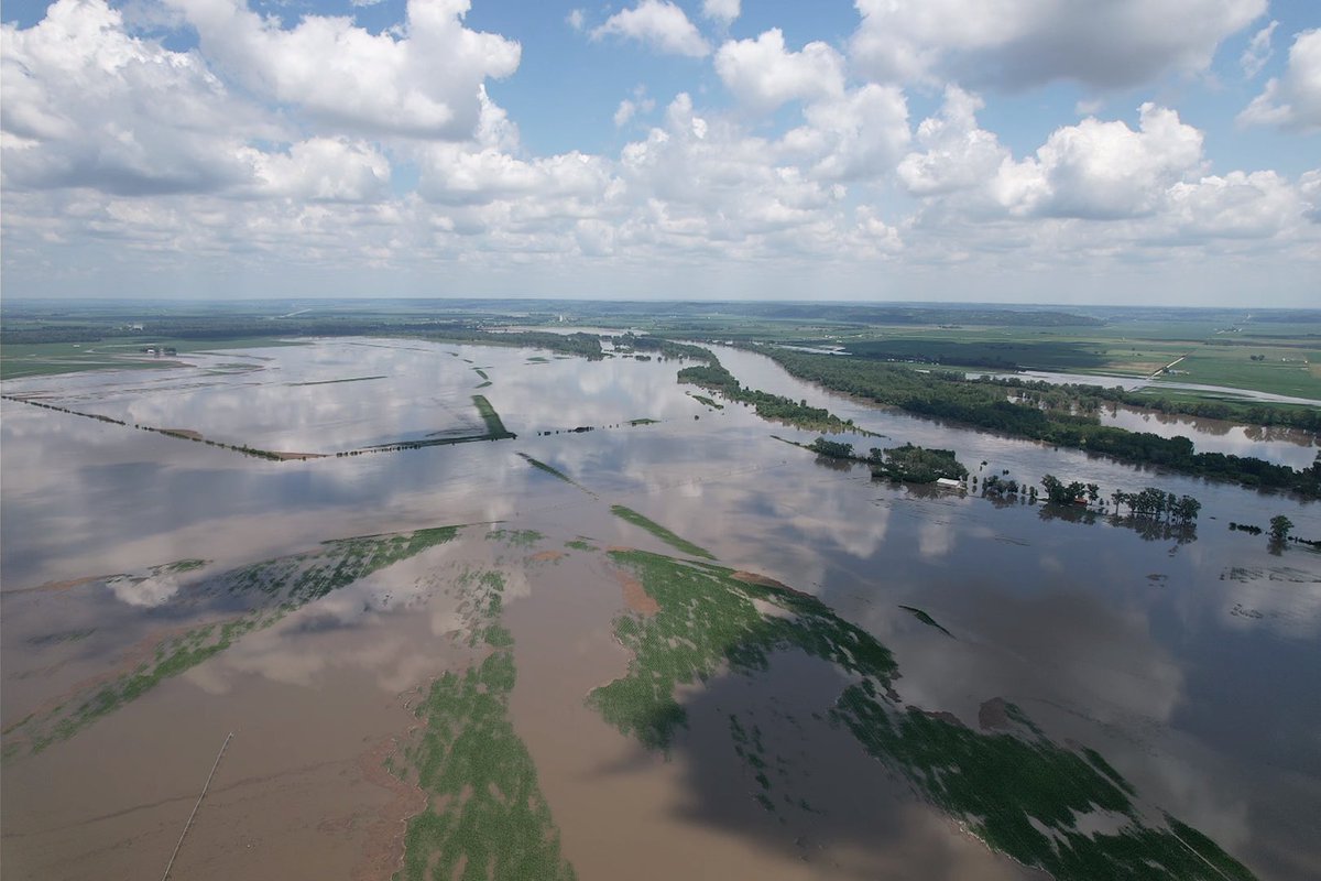 Q Connealy tweet media