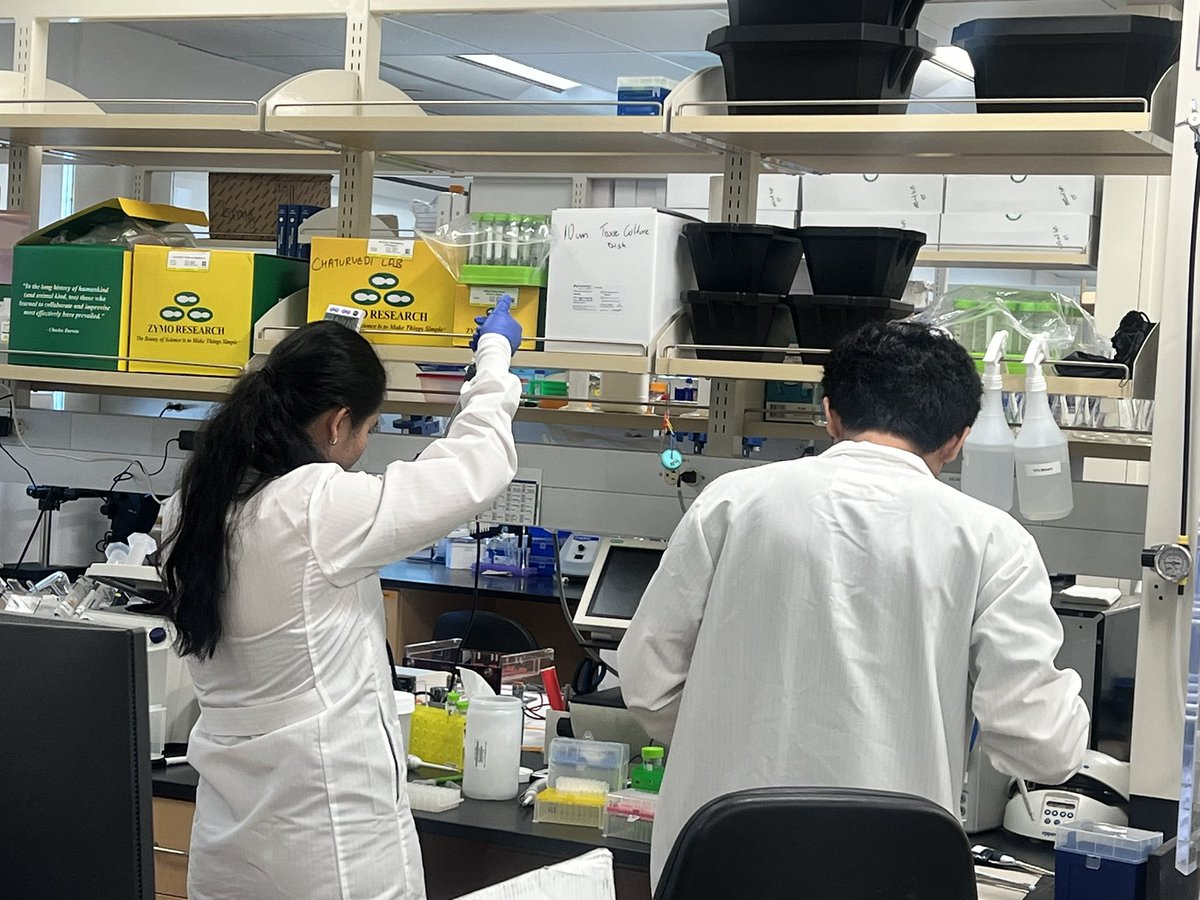 The Chaturvedi Lab tweet media