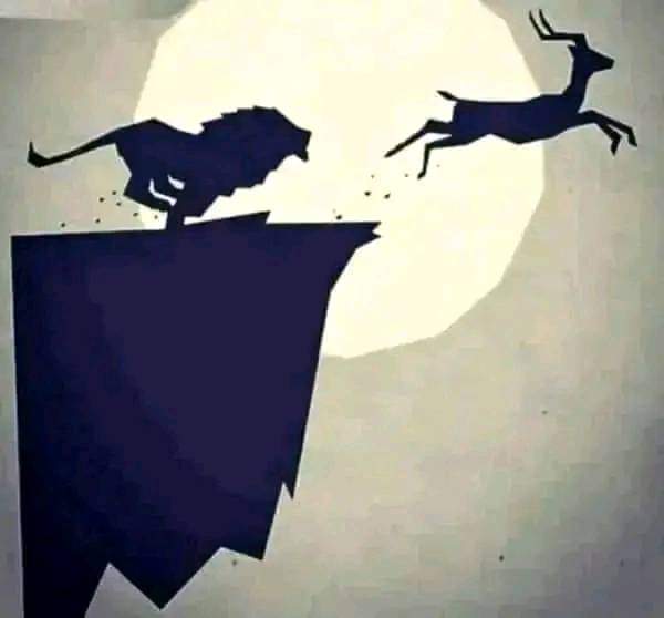 "وإن كانت خسارتك حتمية فلا تجعلها فوزا لأحدٍ."  #يورو𝟐𝟎𝟐𝟒