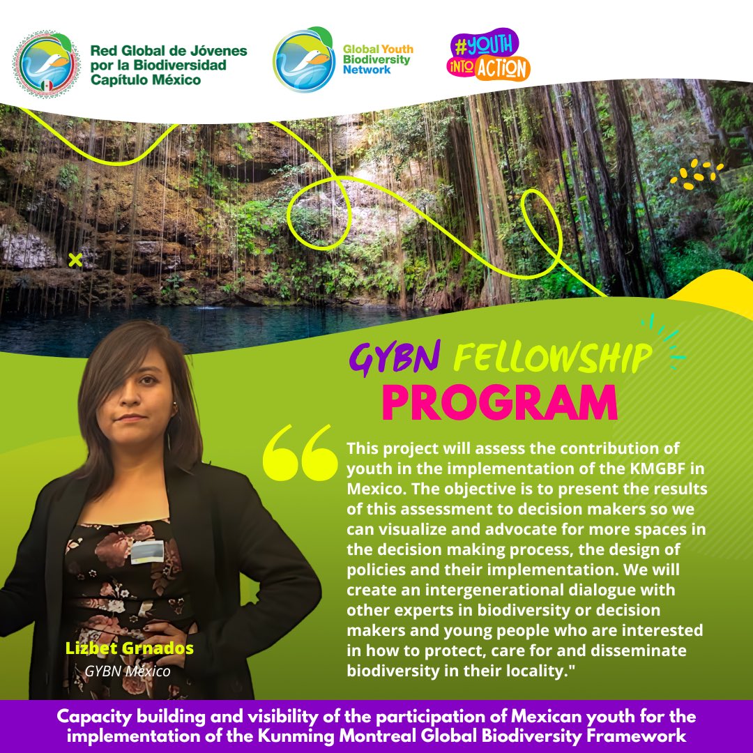 GYBN_CBD's tweet image. 🌍✨ Exciting News!

We are thrilled to announce the selected chapters from the Latin America and Caribbean region (LAC) for the GYBN Fellowship! 🎉

👉Swipe to discover the chapters selected and the projects they are working on!

#YouthIntoAction #Youth4Biodiversity #GYBN