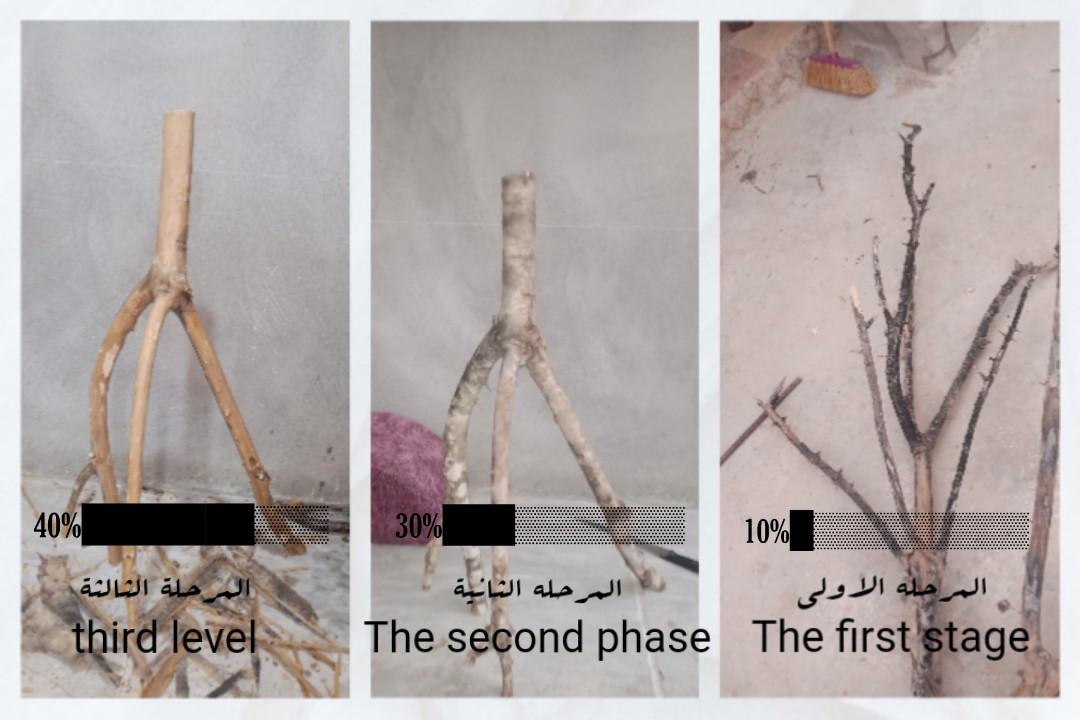 10%   █▒▒▒▒▒▒▒▒▒
30%  ███▒▒▒▒▒▒▒
40%  ███████▒▒▒
جاري التحميل...................... 
 Made by me