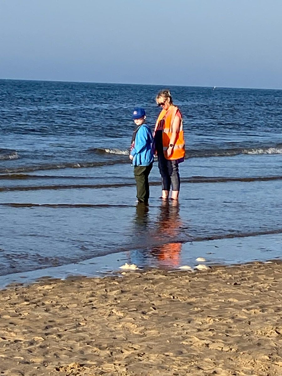 Barton Seagrave Prim (@bartonseagravep) on Twitter photo 