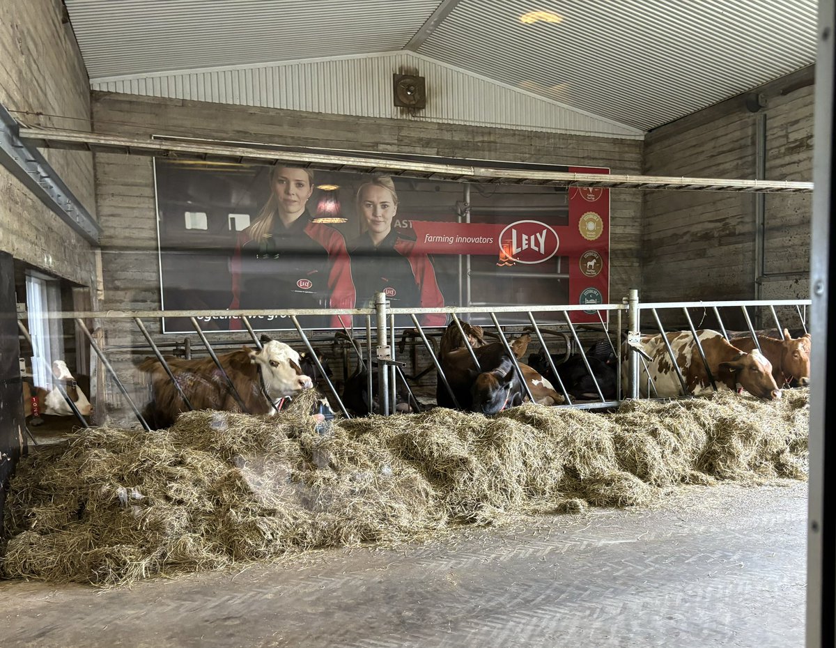 Meg Schneider tweet media