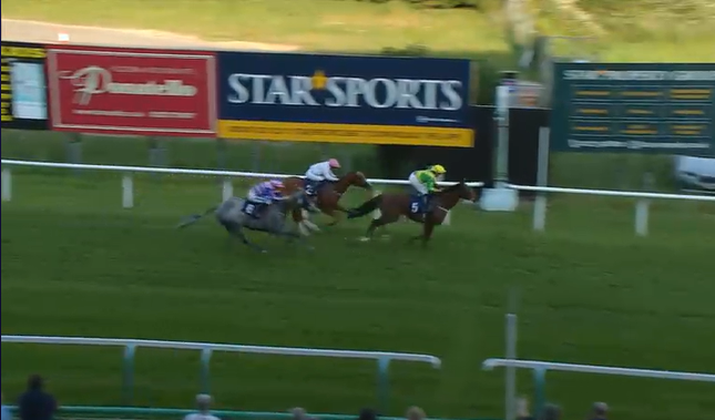 💥BOOOOOOOM💥#analisedecavalos

Canadian ew looking good with this amazing 6/1 winner...