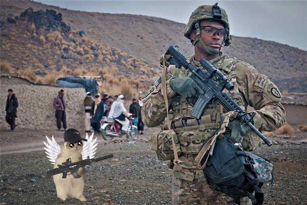 $Cope Cat is from the trenches.

One with the trenches.