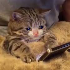 //no se me sube más lo horny, sad