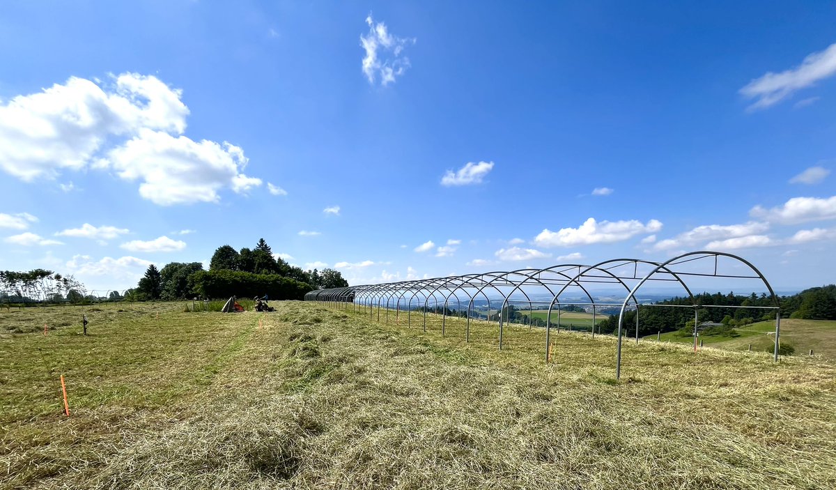Dr Pierre Mariotte (@pierremariotte) on Twitter photo #Forage harvest of our drought-resistant #mixtures at the Bern site. Ready to start our #drought simulation with rainout shelters ☀️🌱 @DryMountProject <a href="/emilie_roinel/">Emilie Roinel</a> <a href="/agroscope/">Agroscope</a> <a href="/AllanEcology/">Allan Ecology Group</a> #Forage harvest of our drought-resistant #mixtures at the Bern site. Ready to start our #drought simulation with rainout shelters ☀️🌱 @DryMountProject <a href="/emilie_roinel/">Emilie Roinel</a> <a href="/agroscope/">Agroscope</a> <a href="/AllanEcology/">Allan Ecology Group</a>