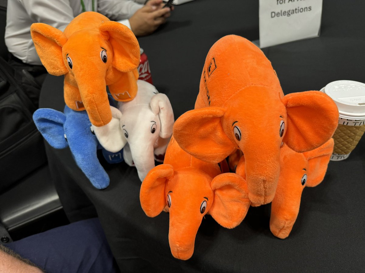 nauleyco's tweet image. Thank you for trading! @realFlowControl 
#elePHPant #DASH2024