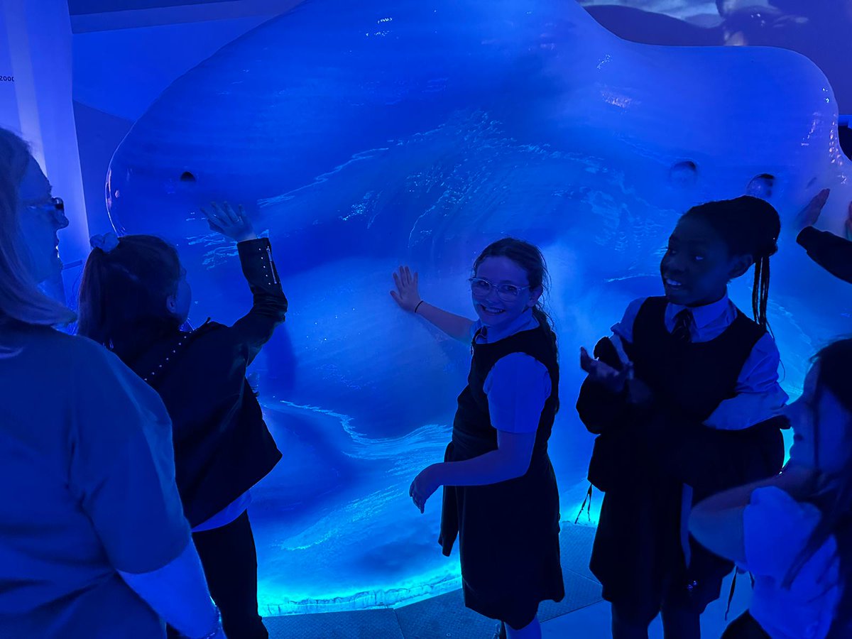 lfbriody's tweet photo. Making the last few days of P5 memorable.  Circle time, sharing memories and toasting marshmallows.  Then a trip to Dynamic Earth.  Good Luck in P6.  You'll smash it.  @StBlanesGCC https://t.co/YPHmbGPVHw
