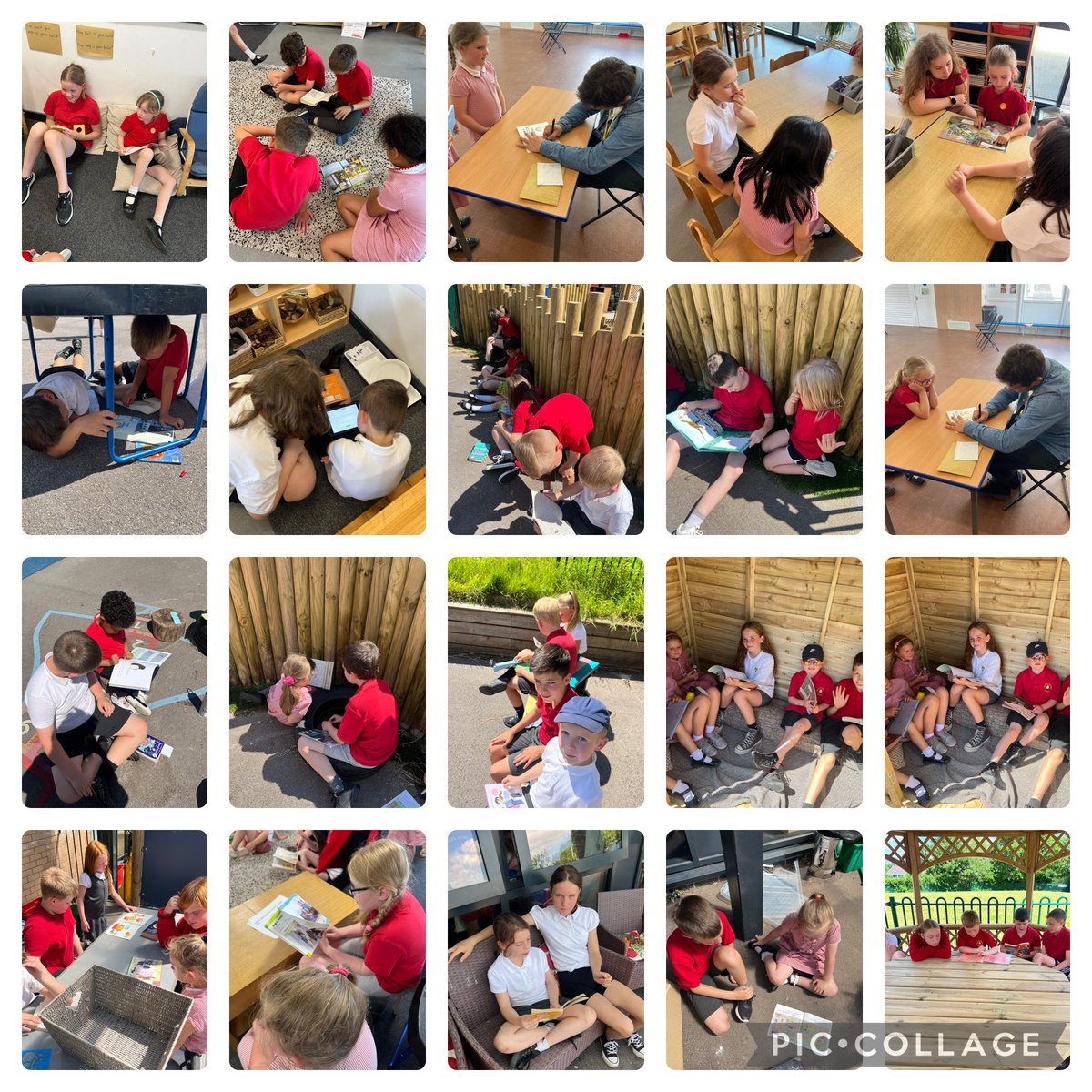 The Federation tweet media