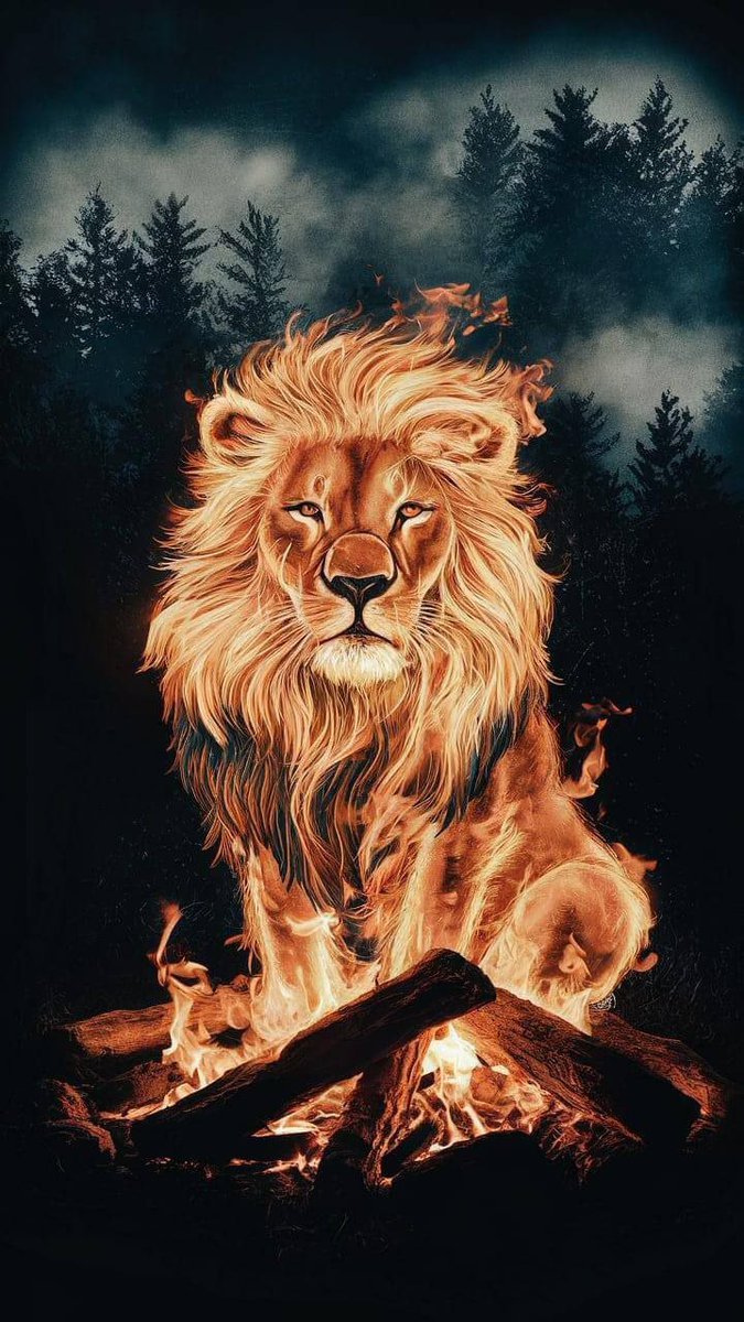 ✡️✡️✡️✡️✡️✡️✡️