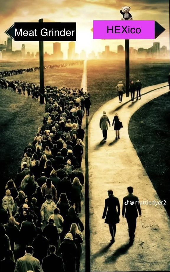 gar_crypto's tweet image. There’s nothing better than #HEX. 

#crypto #RealDeFi #DeFi #ETC #BTC