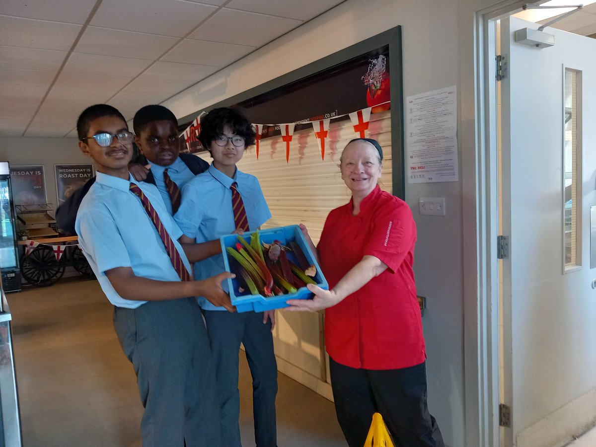 Rhubarb heading from the DGS garden into the school canteen earlier today...<a href="/DartfordGS/">Dartford Grammar</a> <a href="/DGSSciCollege/">DGS Science College</a> <a href="/DrCourtDGS/">Dr Court</a>