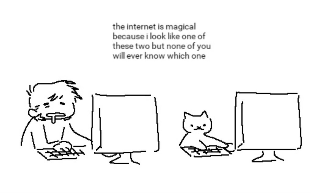 Punch Cat tweet media