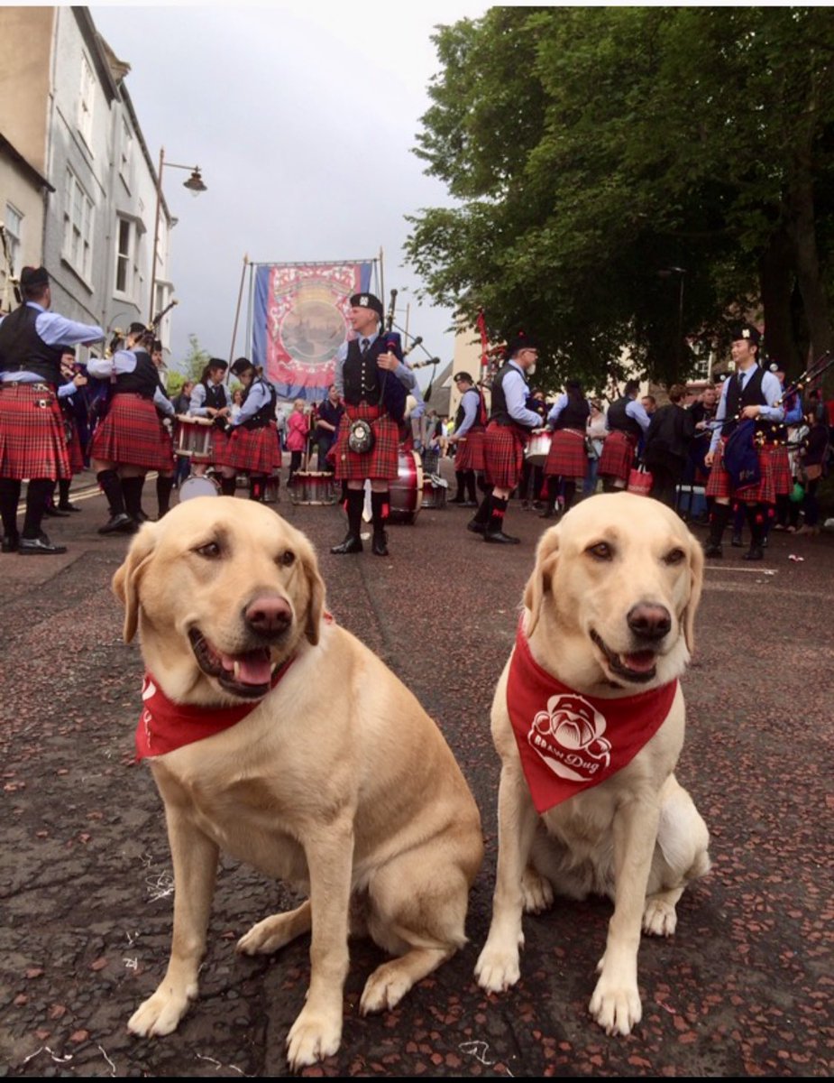 Robert MacDonald tweet media