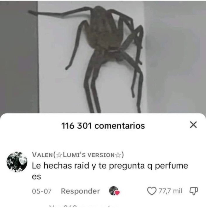 amo internet