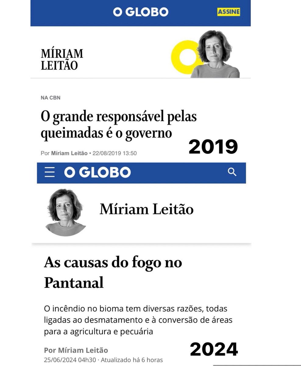 roxmo's tweet image. 