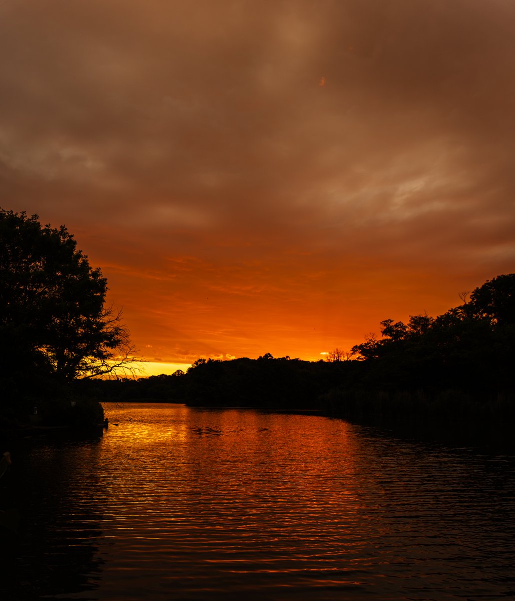 makebrooklyn's tweet photo. I managed to avoid getting #smushed by falling branches in #ProspectPark during the #wind #storm yesterday long enough to capture this one :)

#sunset
#lake
#photography
#Nikon
#z7ii
#nikonz7ii
#nikonusa
#nikoncreators
#nikonz7ii
#nikon24x120 https://t.co/ZnK8OLdxJU
