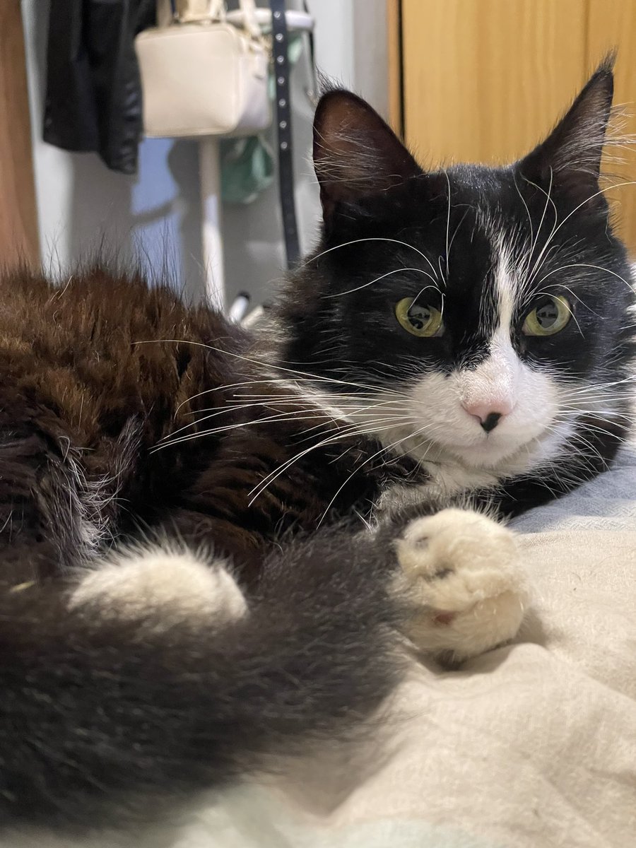 Agustina 🕷️ tweet media