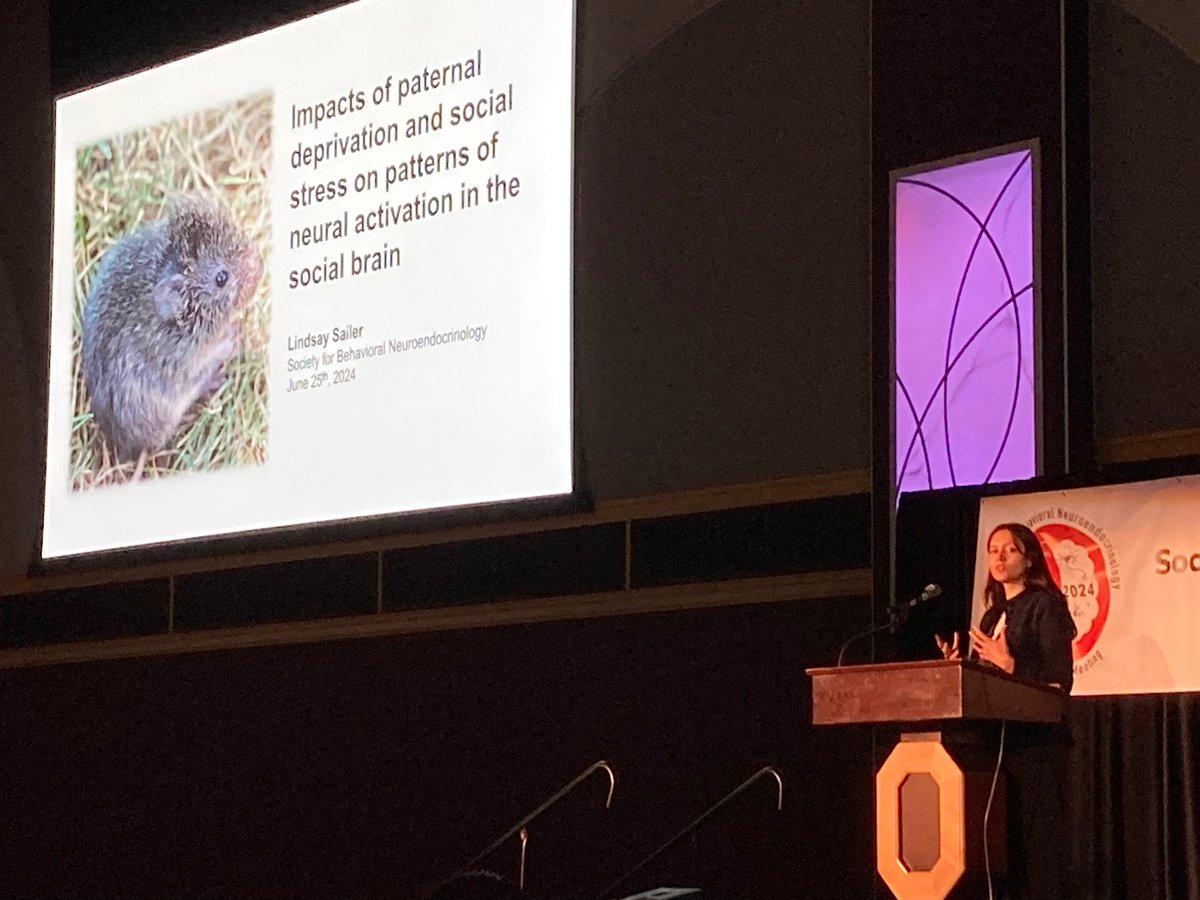 Our Lyn Clemons Travel Awardee is <a href="/LindsaySailer/">Lindsay Sailer 🧠🇭🇳</a>--talking about the impacts of paternal deprivation and social stress on patterns of neural activation in the social brain [no prairie vole emoji yet?!] 🐭🐭🧠 #SBN2024