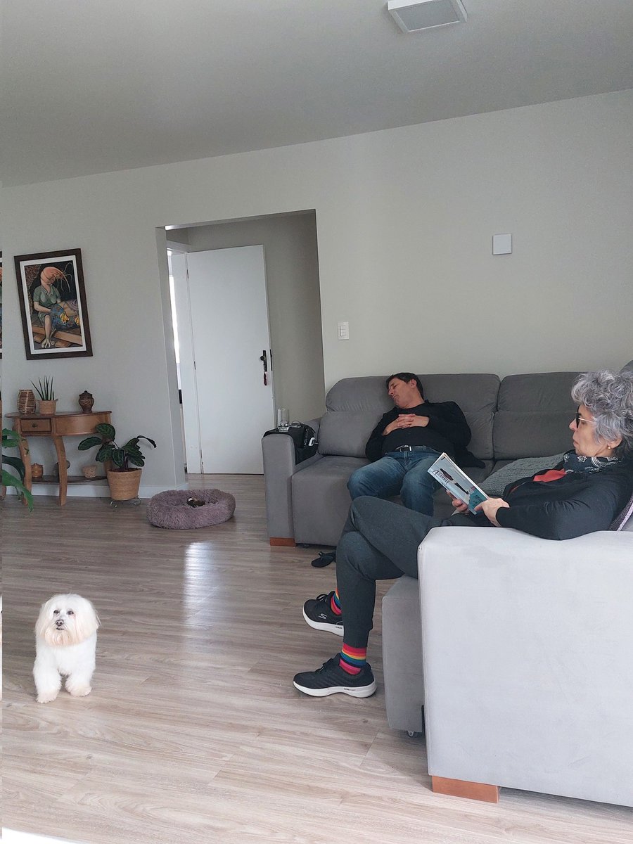 famorimv's tweet image. Uma lendo, um dormindo e o outro me olhando pedindo comida #aposentados