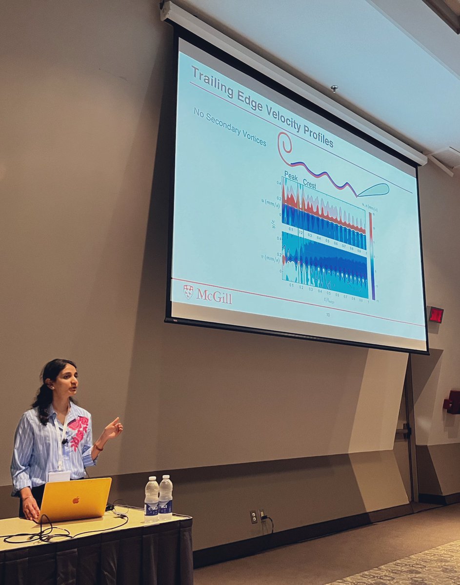 McGill Fluid Dynamics Lab (@mcgill_fluids) on Twitter photo Great talk by Anushka this morning at #TSFP13! 
Interesting problem looking at secondary vortex formation behind a starting airfoil; why do they form sometimes and not others. 
Looking forward to writing up the paper and sharing the findings with you. Great talk by Anushka this morning at #TSFP13! 
Interesting problem looking at secondary vortex formation behind a starting airfoil; why do they form sometimes and not others. 
Looking forward to writing up the paper and sharing the findings with you.
