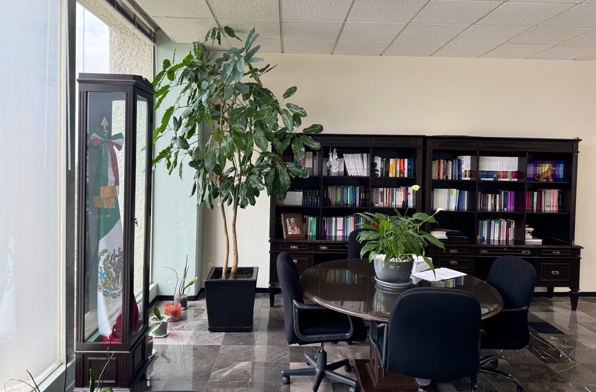 Sobre la información que circula en redes sociales. 

Hoy me encuentro trabajando en el Tribunal Colegiado de mi adscripción, sin incidentes ni contratiempos de ningún tipo. Muchas gracias por las muestras de solidaridad hacia mi persona.