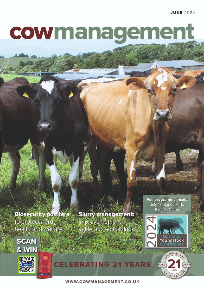 Rachael Porter tweet media