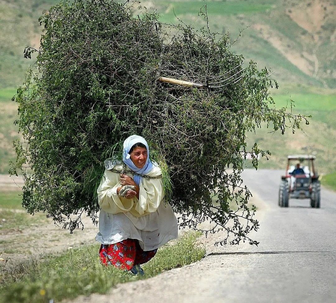 Yeri geldiğinde koca bir dağ sırtlanırsın da
Kendi yüklerini gözün kesmez.
İndirsen yüküne yazık, taşısan sırtına