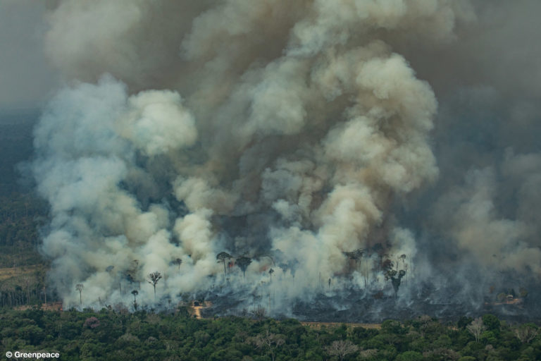 Buckle up for a thread on forest fires!
Fires in the Amazon are (unfortunately) recurrent, with consequences for global warming, health, productivity, and biodiversity! Fires in the Amazon are man made and once started they are hard to curtail. Look at the size of this beast: