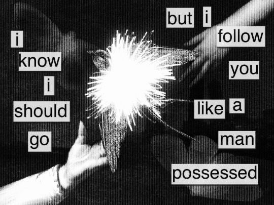 𝐒𝐢𝐥𝐚𝐬 𝐂𝐥𝐞𝐦𝐞𝐧𝐭𝐞  
   
「
    𝙈𝙮 𝙠𝙞𝙣𝙙 𝙤𝙛 𝙧𝙚𝙗𝙞𝙧𝙩𝙝 𝙩𝙖𝙨𝙩𝙚𝙙 𝙡𝙞𝙠𝙚 𝙗𝙡𝙤𝙤𝙙.
　　　　　　　　　　　　　　　　　　」

𝙫𝙖𝙢𝙥𝙞𝙧𝙚 𝙊𝘾. 𝙈𝙖𝙩𝙪𝙧𝙚/𝙙𝙖𝙧𝙠 𝙩𝙝𝙚𝙢𝙚𝙨. 

x.com/holyaches/stat…
