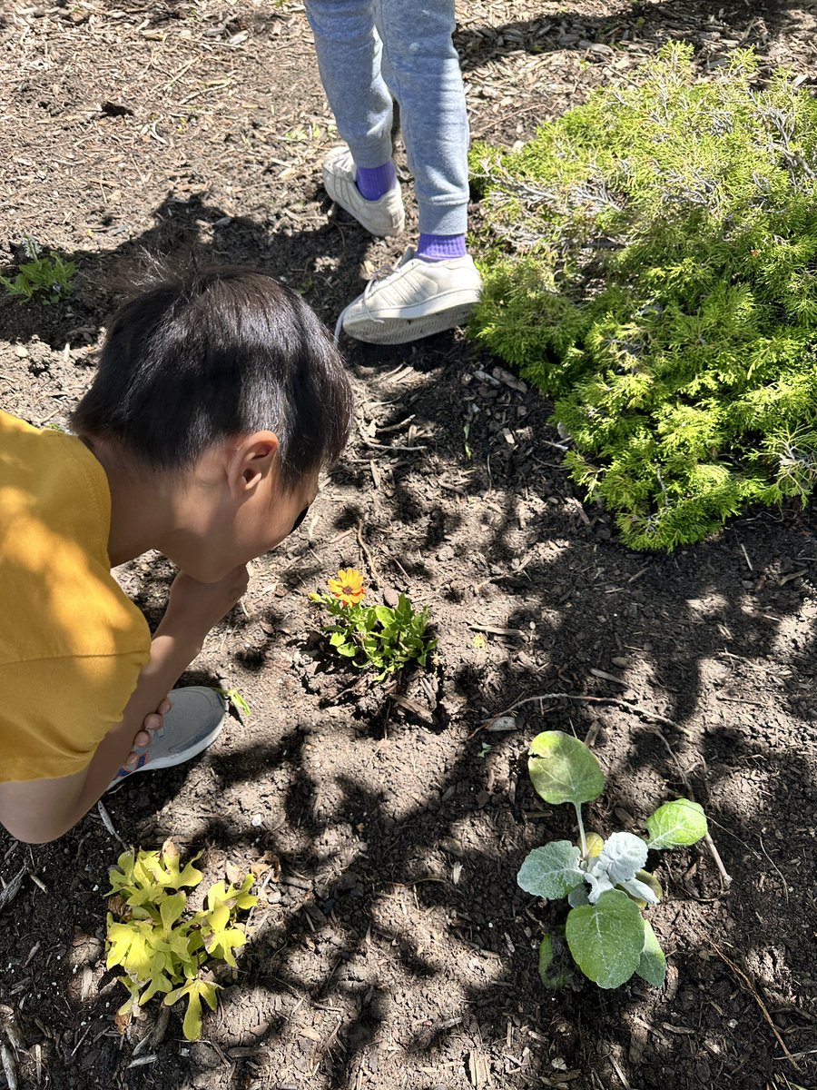 BPSHawks1 tweet media