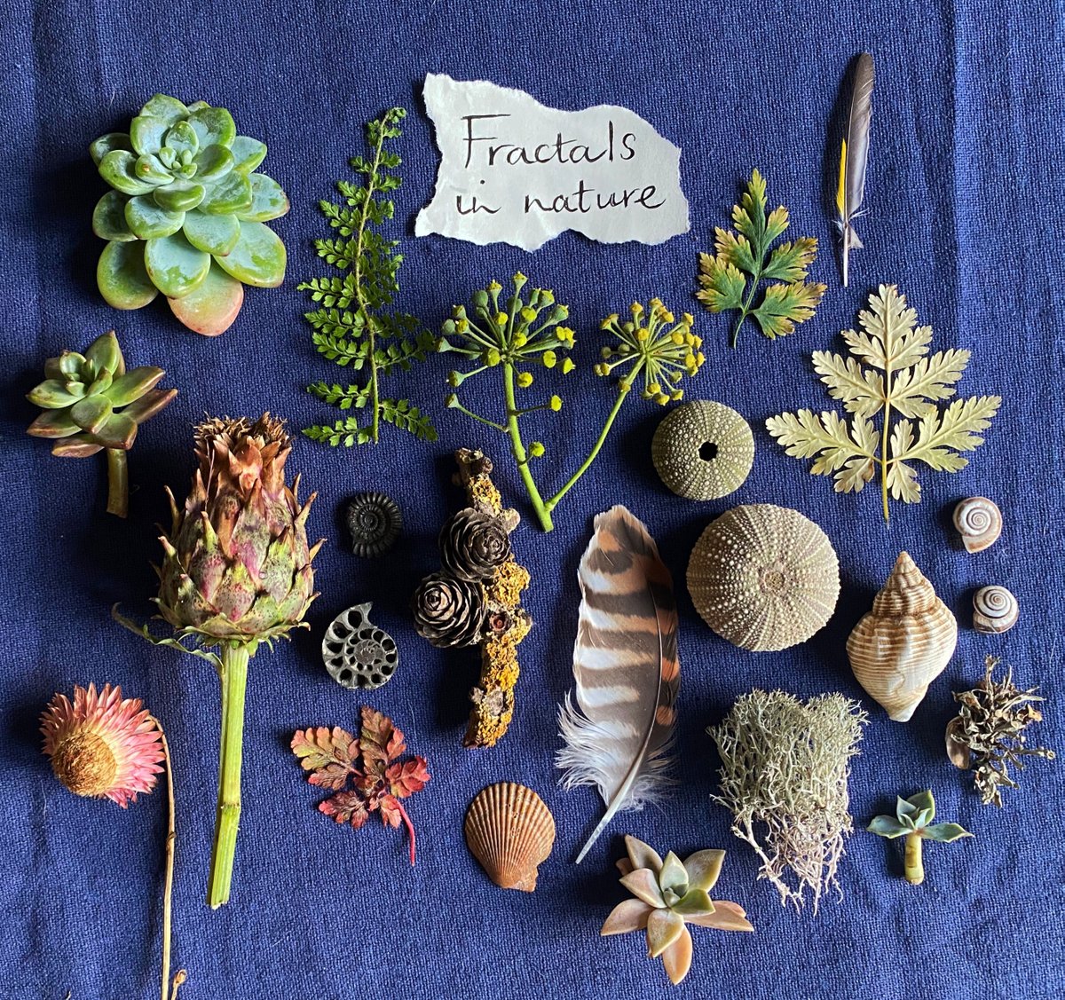 My Etsy shop's now OPEN👇for calendars, art prints &amp; greetings cards, incl of my #tinyposies.

I use recent research to create my photos-looking at them is likely to alleviate anxiety &amp; lift mood. The process of creating my photos calms my autistic brain:

etsy.com/uk/shop/silver…