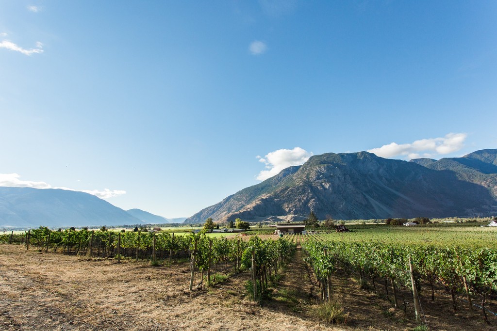 "BC’s second most productive wine region has just under 800 acres of planted vines, and they are making a mark beyond our borders..."

Thank you to @uncorkbcwine for featuring us + the spectacular Similkameen Valley. 

Read more: bit.ly/3RxAEdk

Photo <a href="/WinesofBC/">Reviews</a>