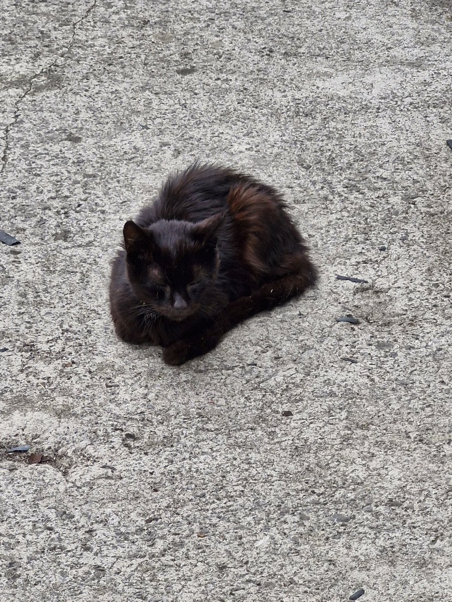 David Green tweet media