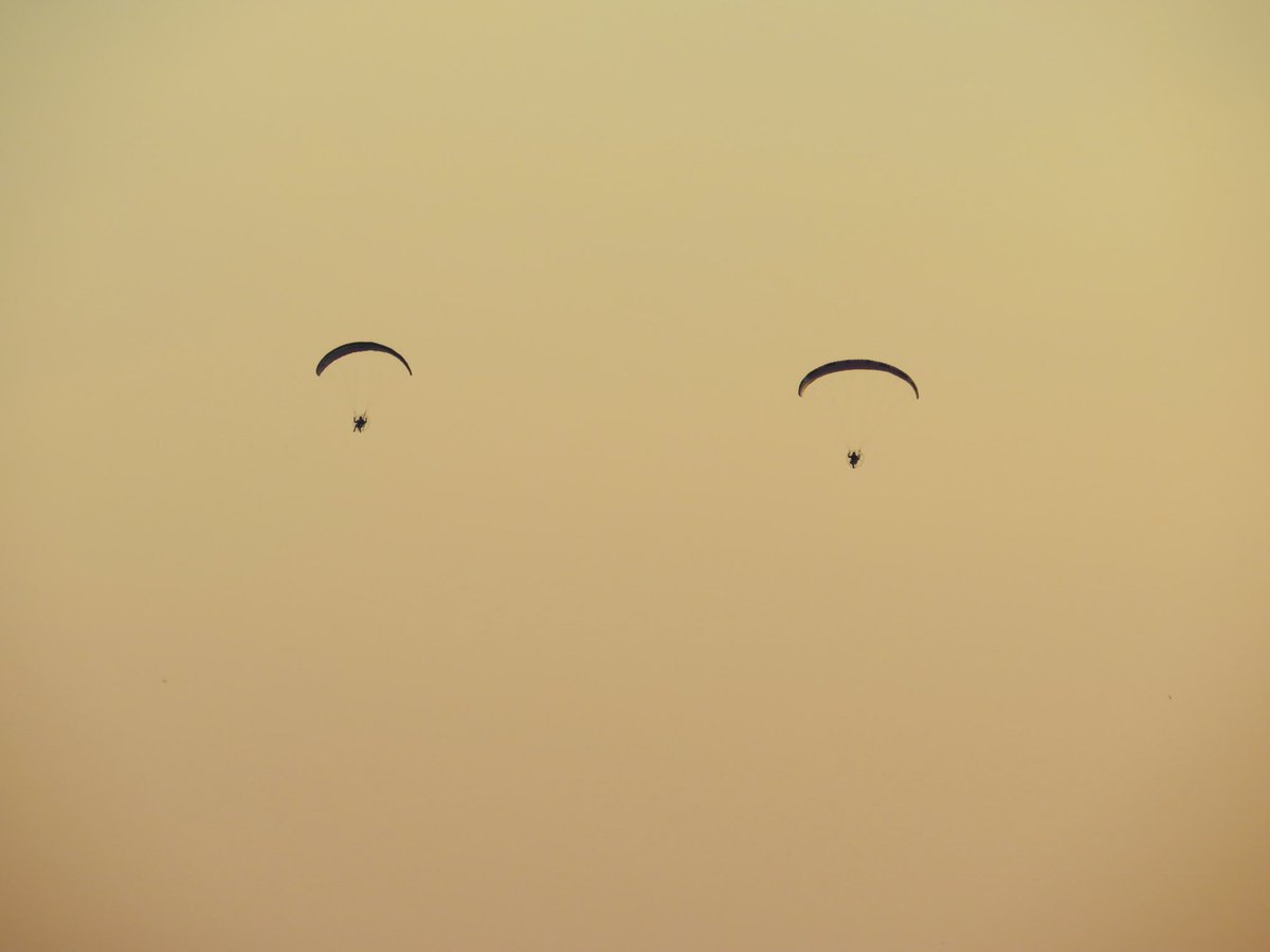 ToniHallinterim's tweet image. All that’s missing is a nose and a mouth 😂 2 #microlights flying over #brighton just now 👀 👀