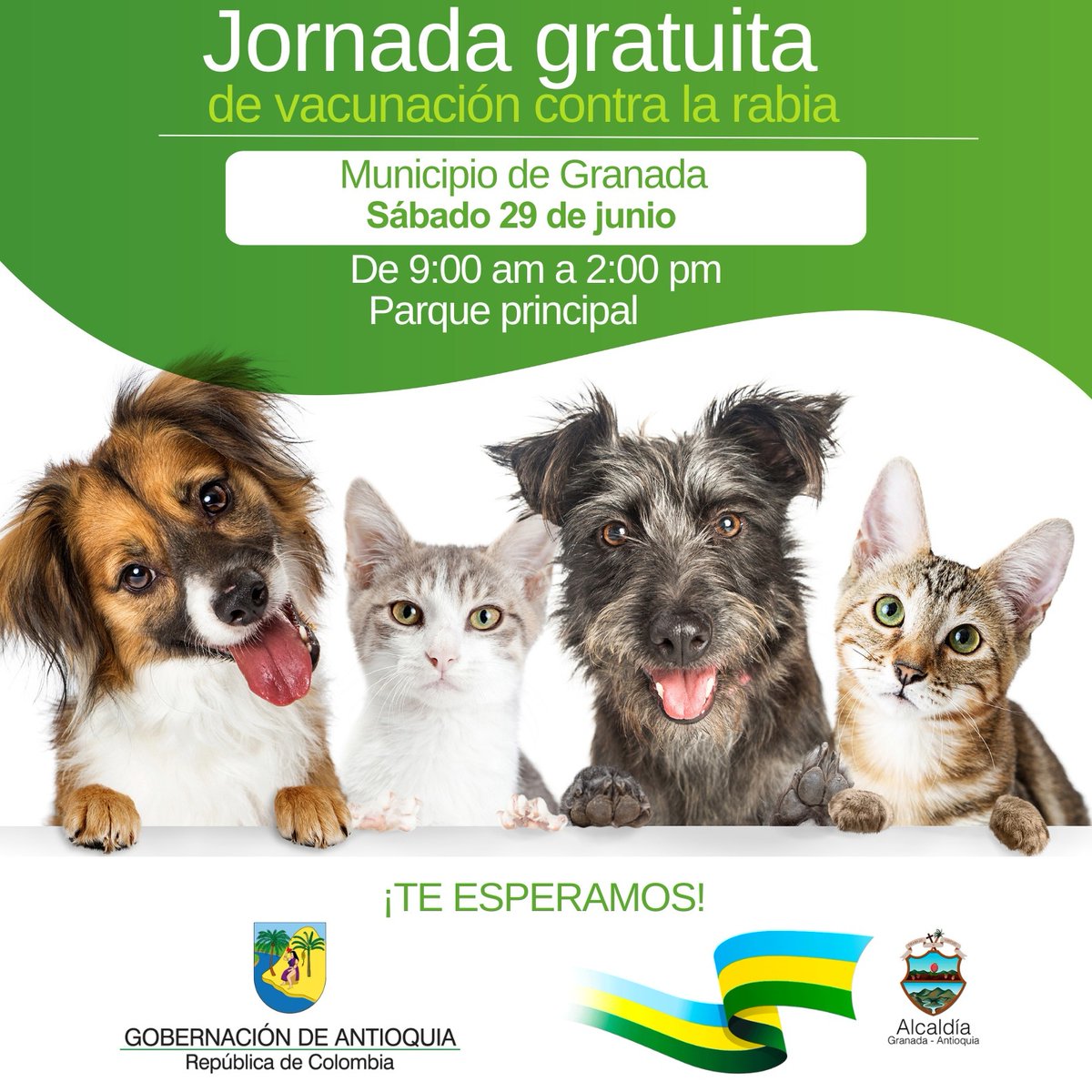 Granada - Antioquia tweet media