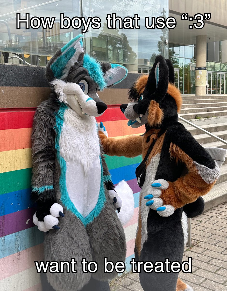 :3

🦊: <a href="/DexTheFoxyFox/">Dex 🐾✨</a> 
📸: <a href="/Jenju_c/">Jenju</a> 

#furry #furrymeme