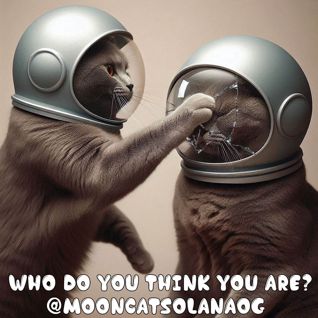 TotallyRektUK's tweet photo. @Dior100x Hey @Dior100x ready to push an easy 100x original $MOONCAT $MC on @solana 

Ca: DyeoWpRCwVCbbp8eRdqbotBzCfzN4JTpZgkE7CqbHnBa https://t.co/1pkSJiGhxC