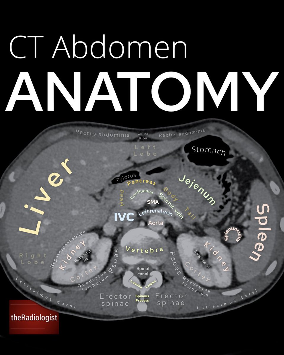 theRadiologist tweet media