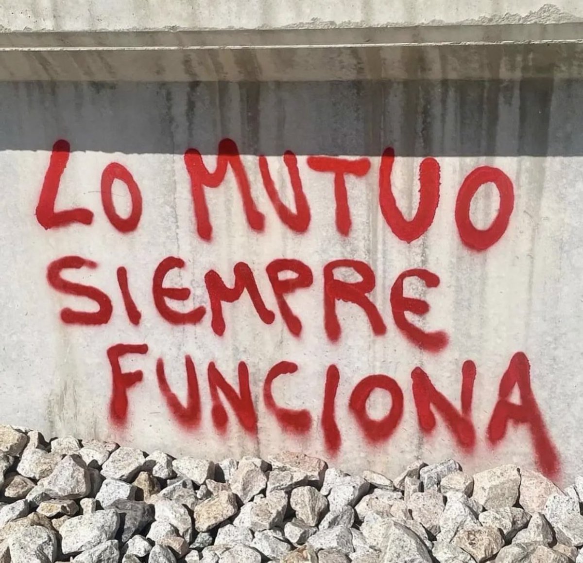 vik_daniel's tweet image. 