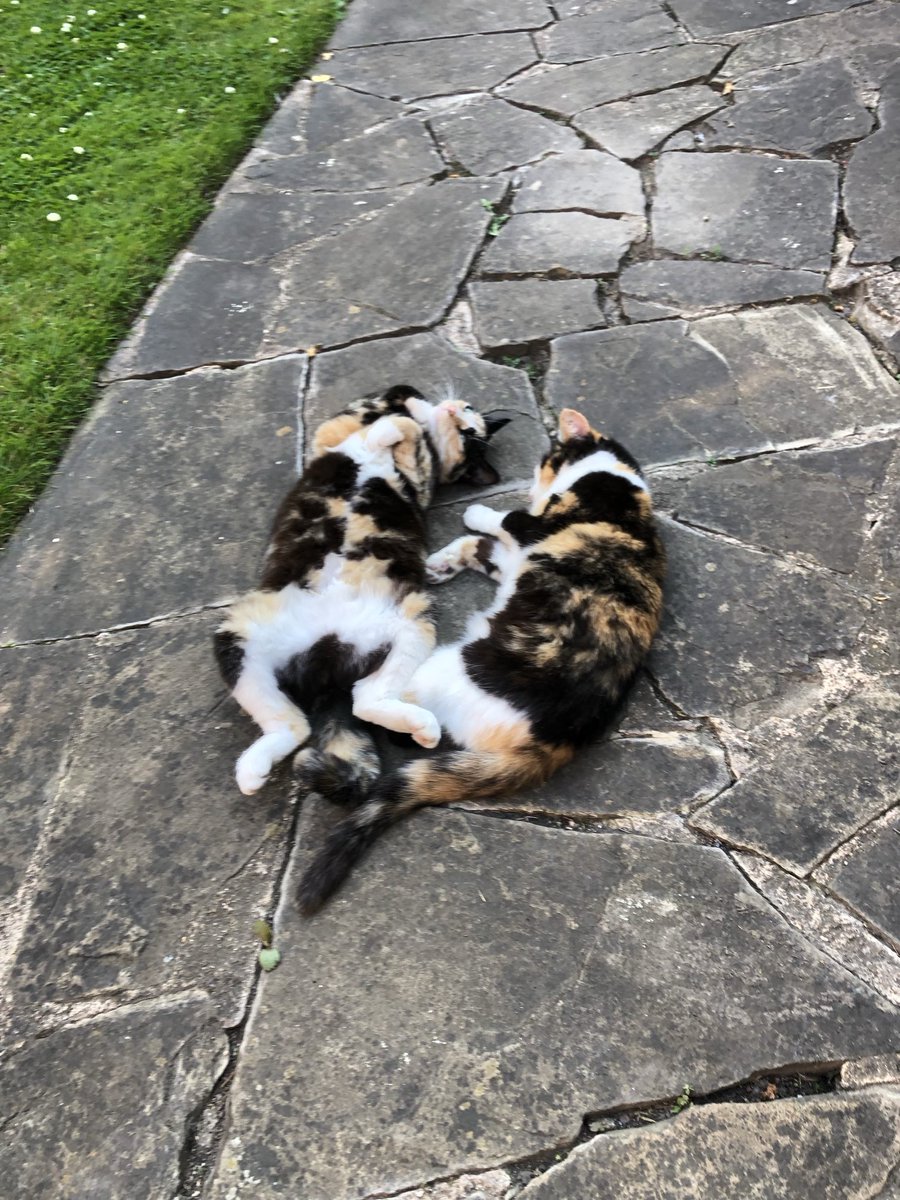 Thoroughly enjoying the sunshine…🌞