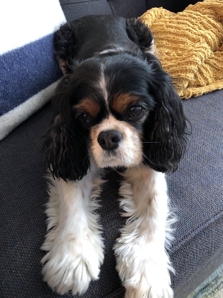 Today is my 11th birthday! Hoping to have another great year.