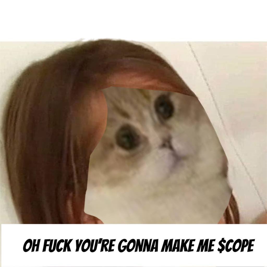 <a href="/CryptoTalkMan/">CTM</a> I’m not the type of person that will $COPE