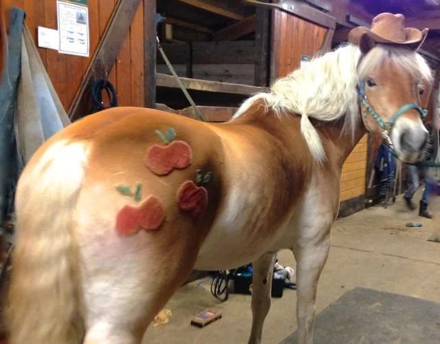 TwilightBurgers's tweet photo. Good lord the apple horse is real https://t.co/7fZhbIIEgD
