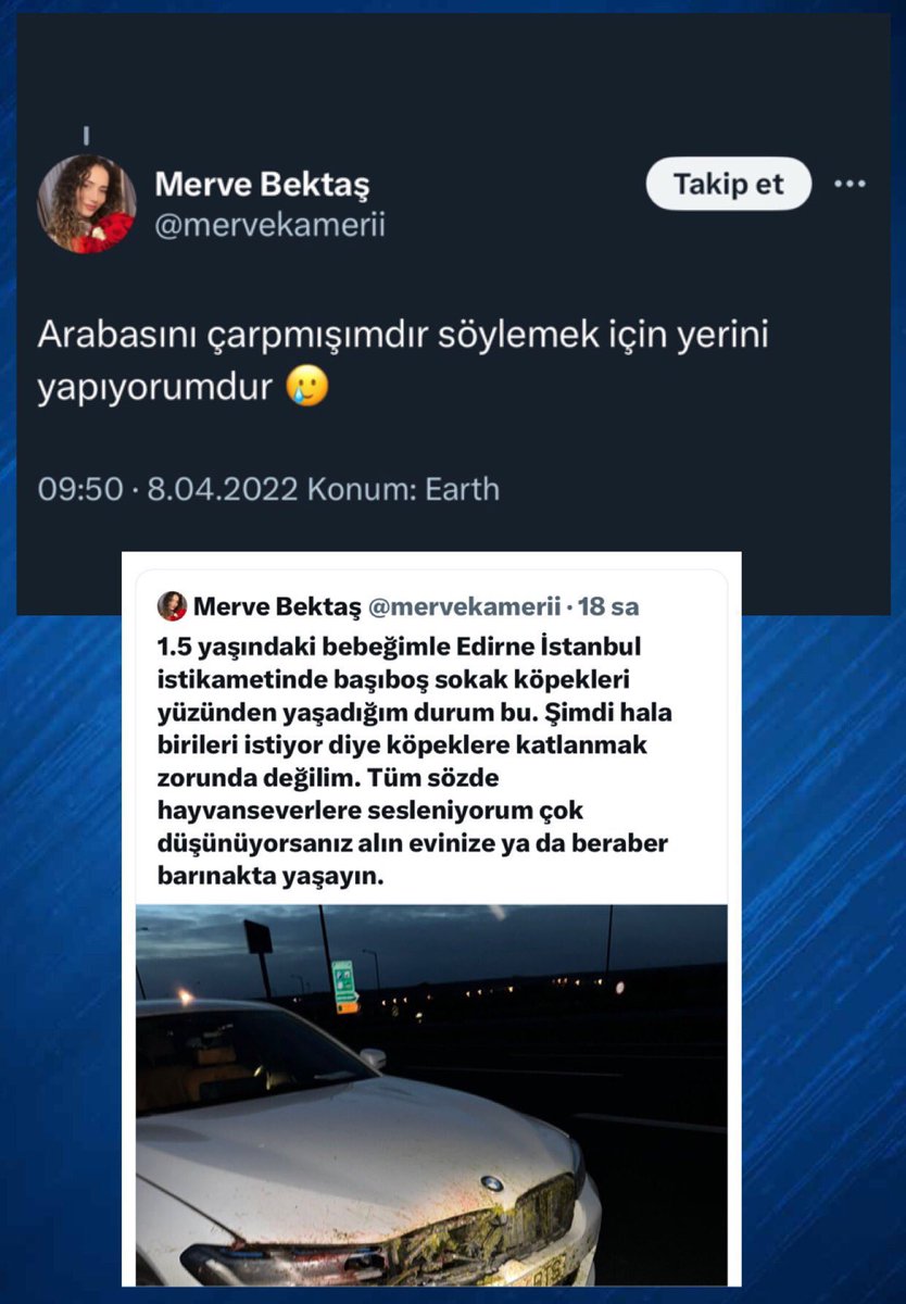 guclusinemm's tweet photo. Merve hesabı kapattı gitti .  Kimse bir canlıyı öldürdüm ezdim diyip bunu gururla duyuranı desteklemez ,destekleyen de aynı zihniyet olur.  Ayrıca köpek değil ne olduğunu kendide bilmiyormuş 🤦🏻‍♀️ muhtemelen 2022 gibi kılıf aradı . https://t.co/wzMxlHnNCY