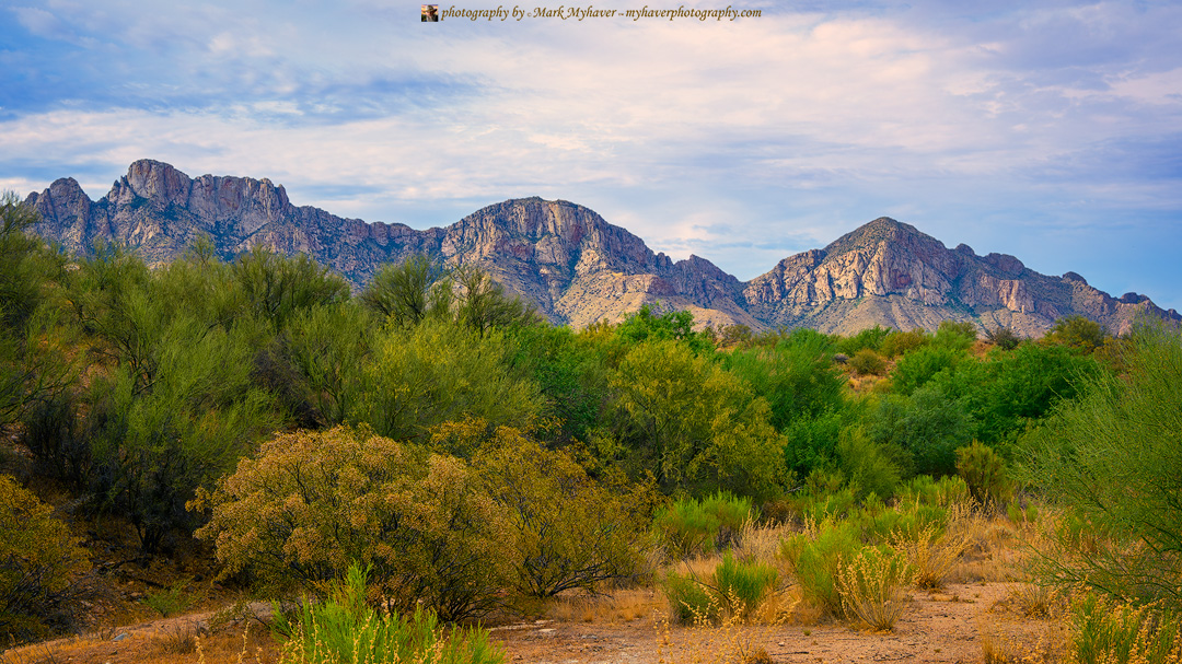 Valley View 25509
Photography by Mark Myhaver 
myhaverphotography.pixels.com/featured/valle… 
#puschridge #orovalley #valleyview #catalinamountains #sonorandesert #arizona #myhaverphotography