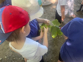 NectonFS's tweet image. Our forest site was a busy place today. We had a great visit from Mark at Oscars Tree Academy. @NectonY1  were first to hear some interesting information about our beautiful trees. Huge thank you to @Siemens_Energy  for supporting Marks visit.