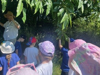 NectonFS's tweet image. Our forest site was a busy place today. We had a great visit from Mark at Oscars Tree Academy. @NectonY1  were first to hear some interesting information about our beautiful trees. Huge thank you to @Siemens_Energy  for supporting Marks visit.
