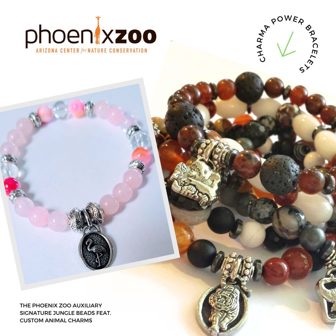 charitycharms's tweet photo. Are you looking for a way to elevate your cause through your branding? 

It's always exciting when the Phoenix Zoo comes to us to create a new bracelet for their Jungle Beads collection! Each bracelet features unique charms and beads representing the zoo's incredible wildlife. https://t.co/pVIPskEveI